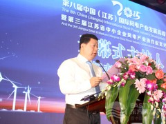 江蘇省可再生能源行業協會副秘書長施新春